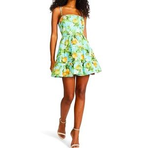 BB Dakota by Steve Madden Orchard Lemon Print Poplin A-Line Mini Dress